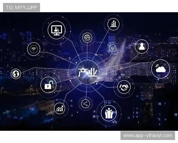 壹号网络科技：专注于互联网技术创新推动行业数字化升级的先锋企业